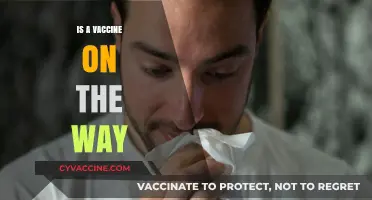 Hope on the Horizon: The Quest for a Vaccine Breakthrough