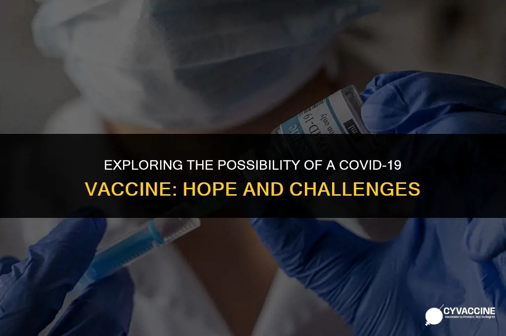 is a vaccine possible for covid19