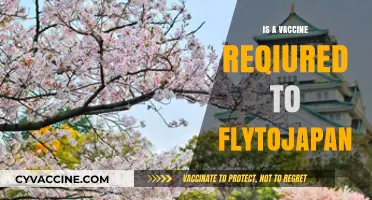 Exploring Japan: The Truth About Vaccine Requirements for Travel