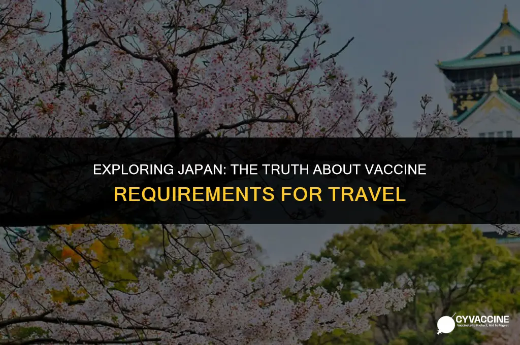is a vaccine reqiured to flytojapan