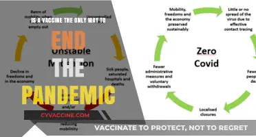 Beyond Vaccines: Exploring Comprehensive Strategies to End the Pandemic
