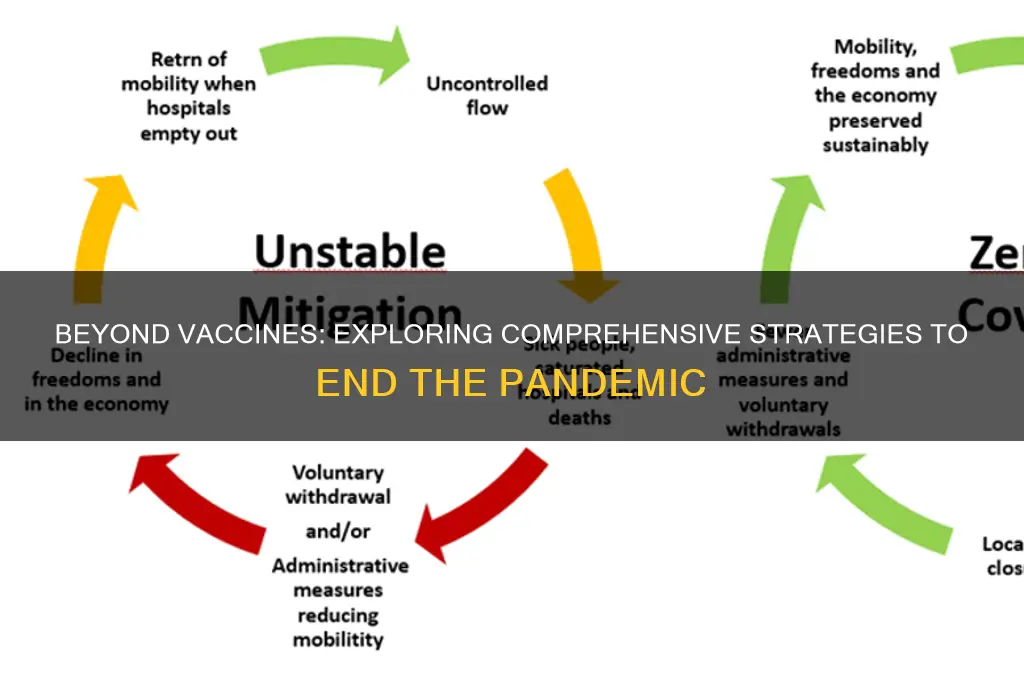 is a vaccine the only way to end the pandemic