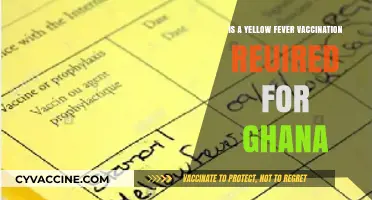 Is Yellow Fever Vaccination Required for Ghana Travel?