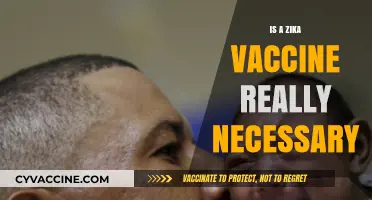 Debating the Necessity of a Zika Vaccine: A Comprehensive Analysis