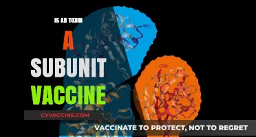 Exploring the Role of AB Toxin in Subunit Vaccines: A Comprehensive Guide