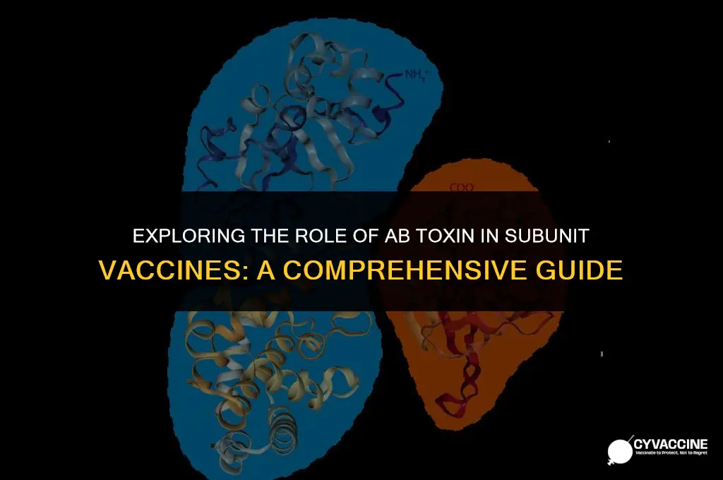 is ab toxin a subunit vaccine