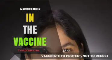 Unraveling Misinformation: The Truth About Vaccines and Fetal Cells
