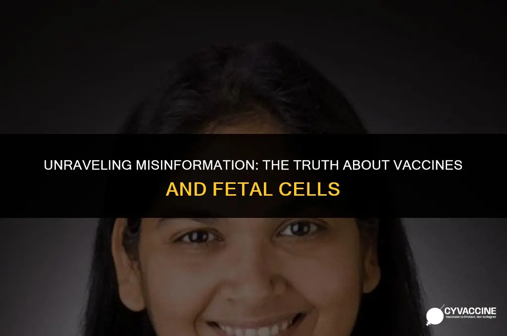 is aborted babies in the vaccine
