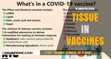 Exploring the Myths: Fecal Tissue in Vaccines - A Scientific Breakdown