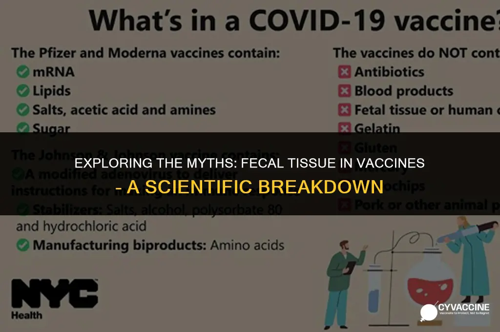 is aborted fecal tissue in vaccines