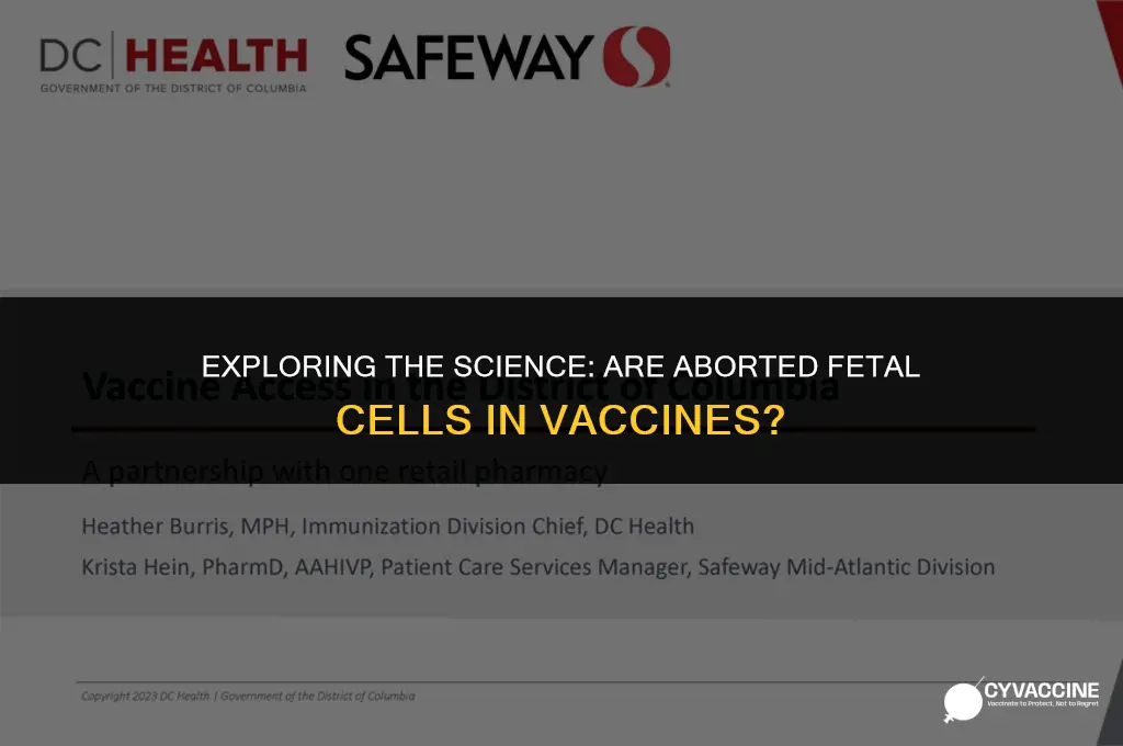 is aborted fetal cells in vaccine