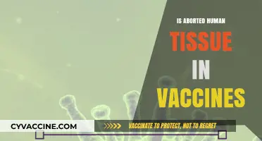 Exploring the Science: Is Aborted Human Tissue in Vaccines?