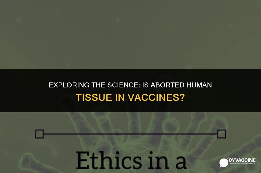 is aborted human tissue in vaccines