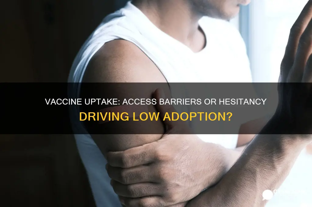 is access or hesitancy the issue for vaccine uptake