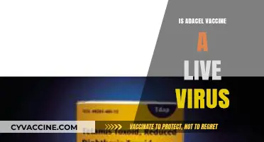 Understanding the ADACEL Vaccine: Live Virus or Not?