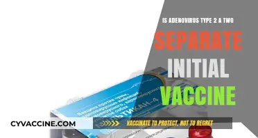 Adenovirus Type 2: Understanding Its Role in Initial Vaccination Strategies