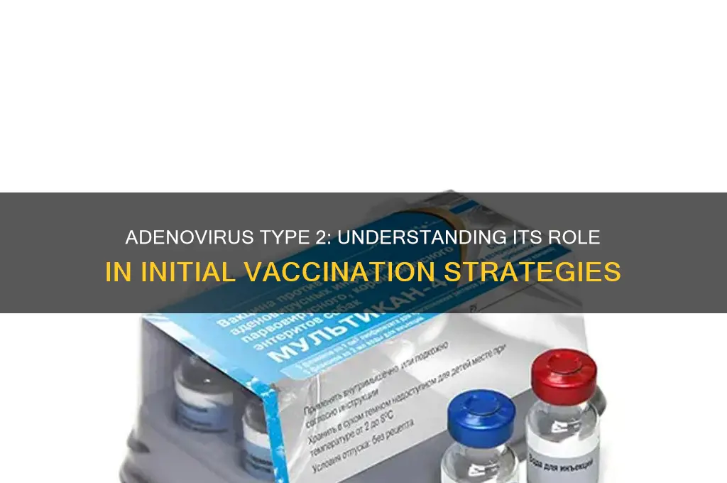 is adenovirus type 2 a two separate initial vaccine
