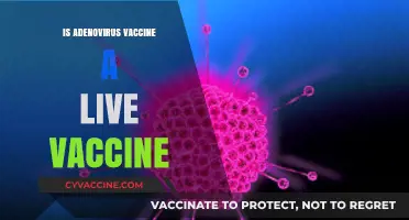 Understanding Adenovirus Vaccines: Are They Live or Inactivated?