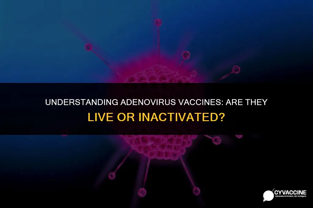 is adenovirus vaccine a live vaccine