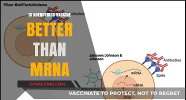 Decoding the Debate: Adenovirus vs. mRNA Vaccines - Which Reigns Supreme?
