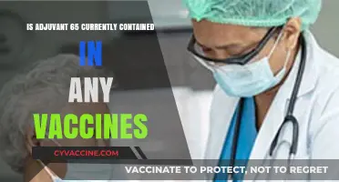 Adjuvant 65 in Vaccines: Current Usage and Safety Overview