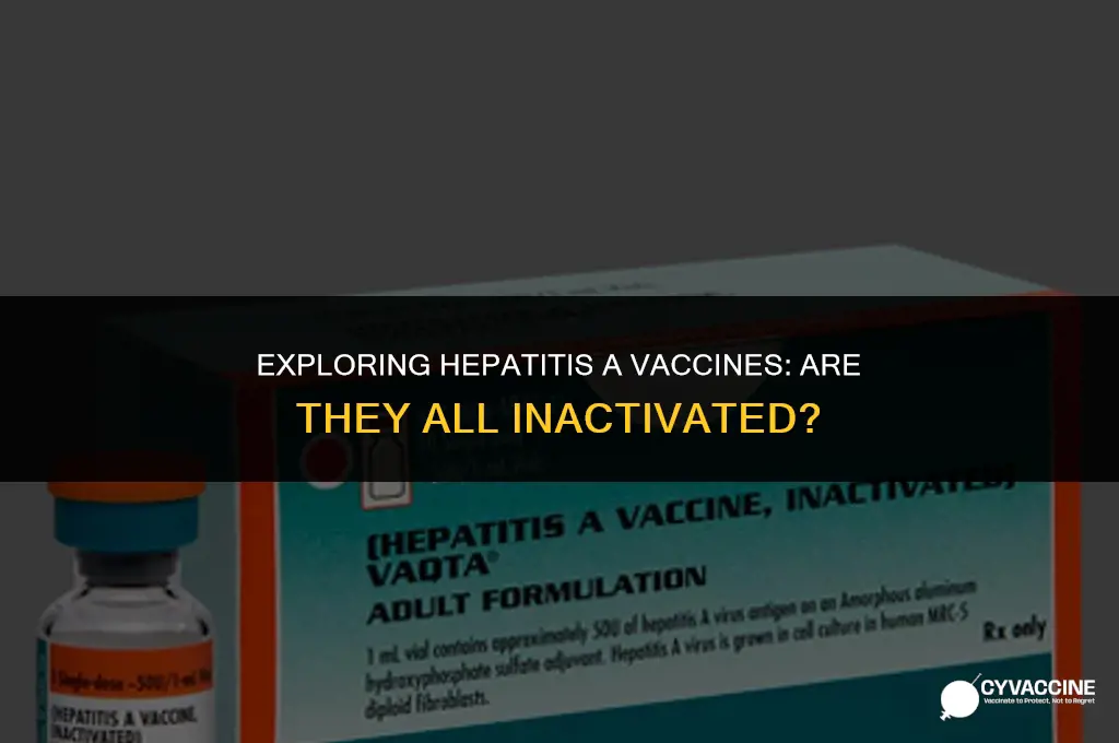 is all hep a vaccines inactivated