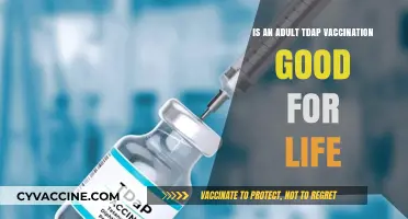 Adult Tdap Vaccination: Lifelong Protection or Periodic Booster Needed?