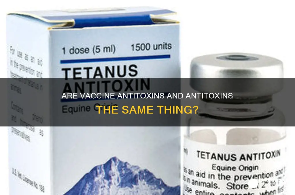 is an anti toxin in a vaccine the same thing