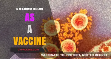 Antibodies vs. Vaccines: Understanding the Key Differences and Roles