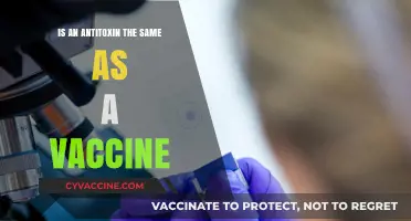 Antitoxin vs. Vaccine: Understanding the Key Differences and Uses