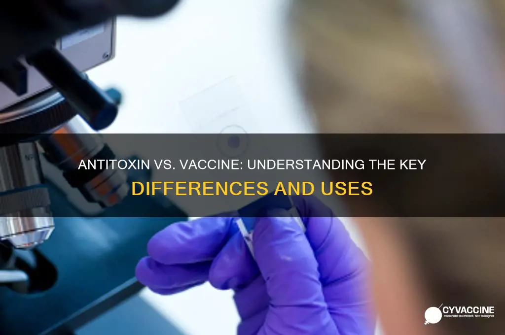 is an antitoxin the same as a vaccine
