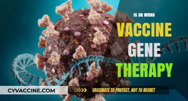Exploring the Intersection of mRNA Vaccines and Gene Therapy