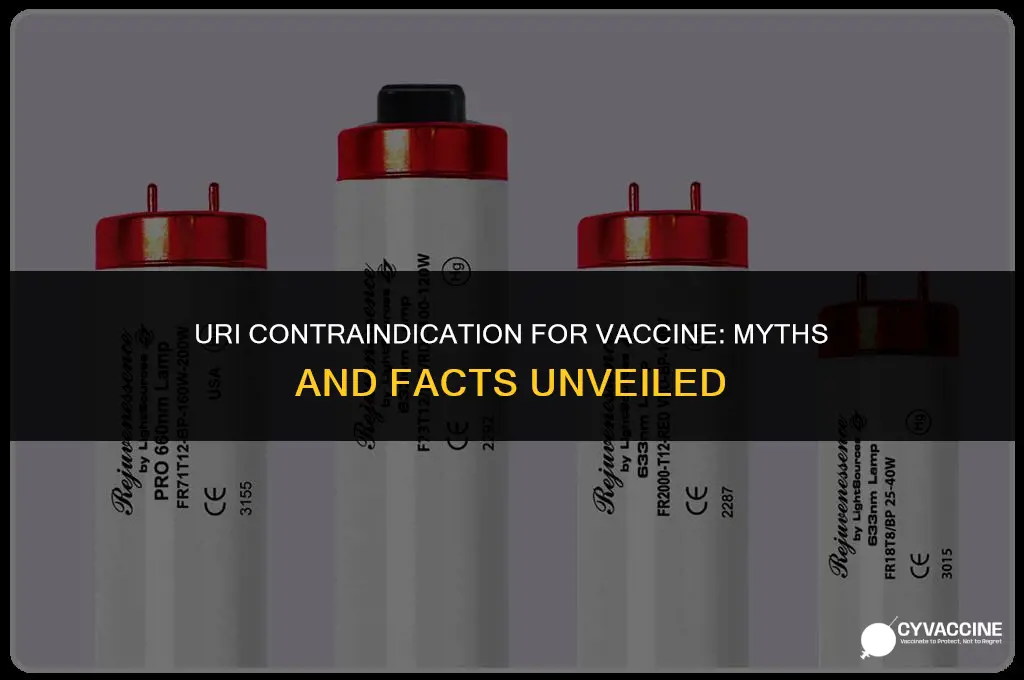 is an uri contraindication for vaccine