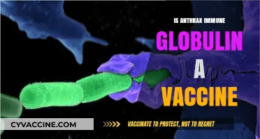 Understanding Anthrax Immune Globulin: Vaccine or Treatment?