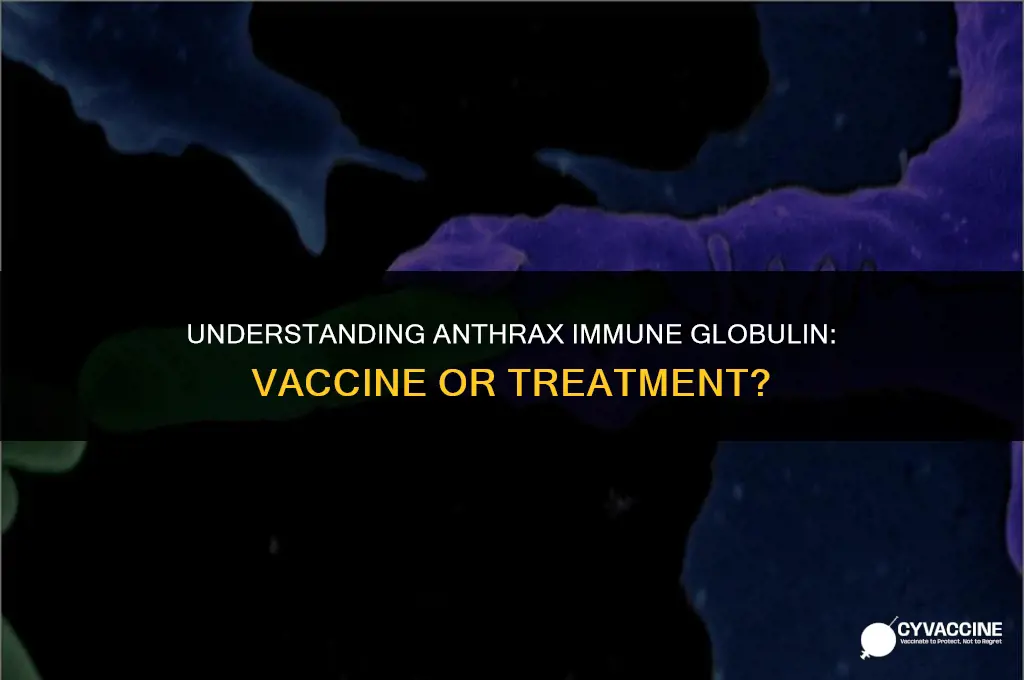 is anthrax immune globulin a vaccine