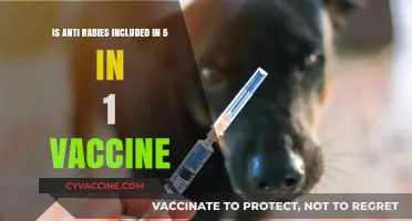 Does the 5-in-1 Vaccine Include Anti-Rabies Protection?
