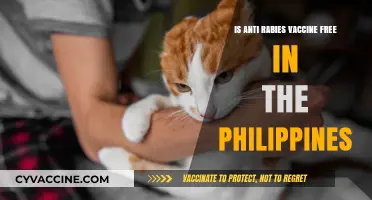 Is the Anti-Rabies Vaccine Free in the Philippines?