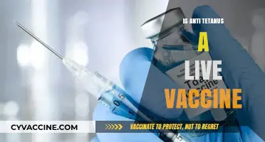 Understanding Anti-Tetanus Vaccines: Are They Live or Inactivated?