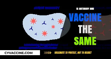 Decoding Immunity: The Crucial Differences Between Antibodies and Vaccines