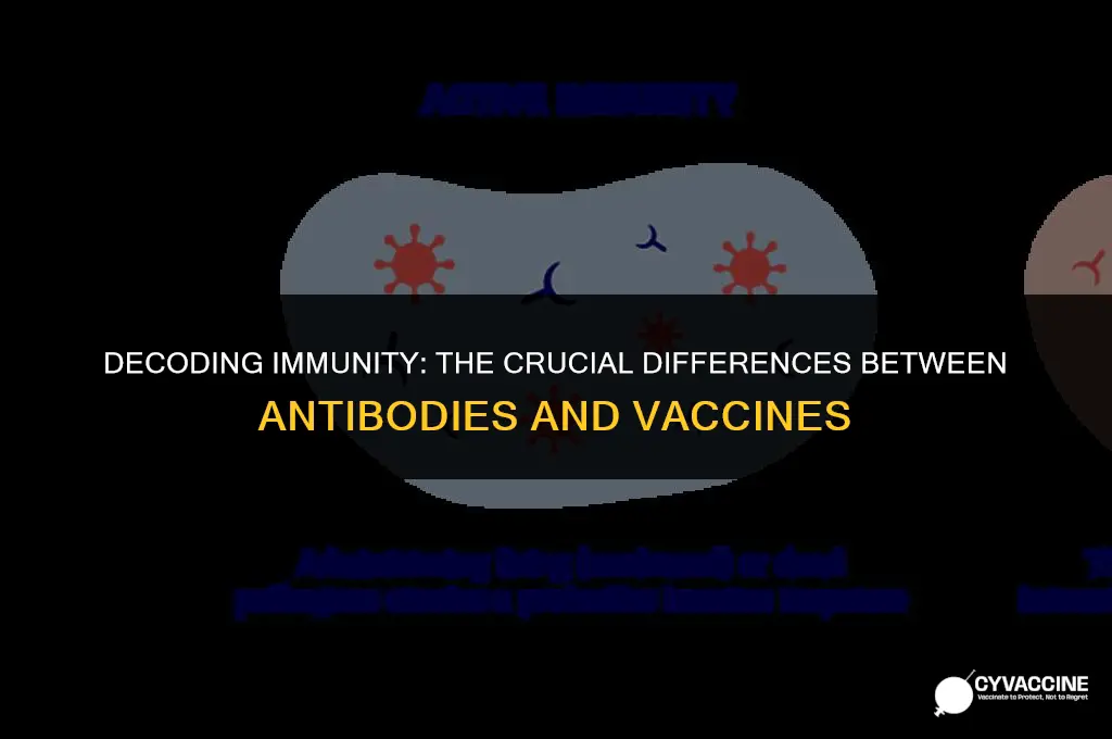 is antibody and vaccine the same