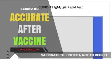 Decoding Antibody Test Accuracy Post-Vaccination: What You Need to Know