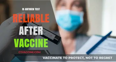 Assessing Antigen Test Reliability Post-Vaccination: What You Need to Know