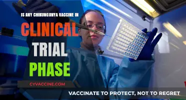 Chikungunya Vaccine Progress: Clinical Trials Underway for Potential Cure