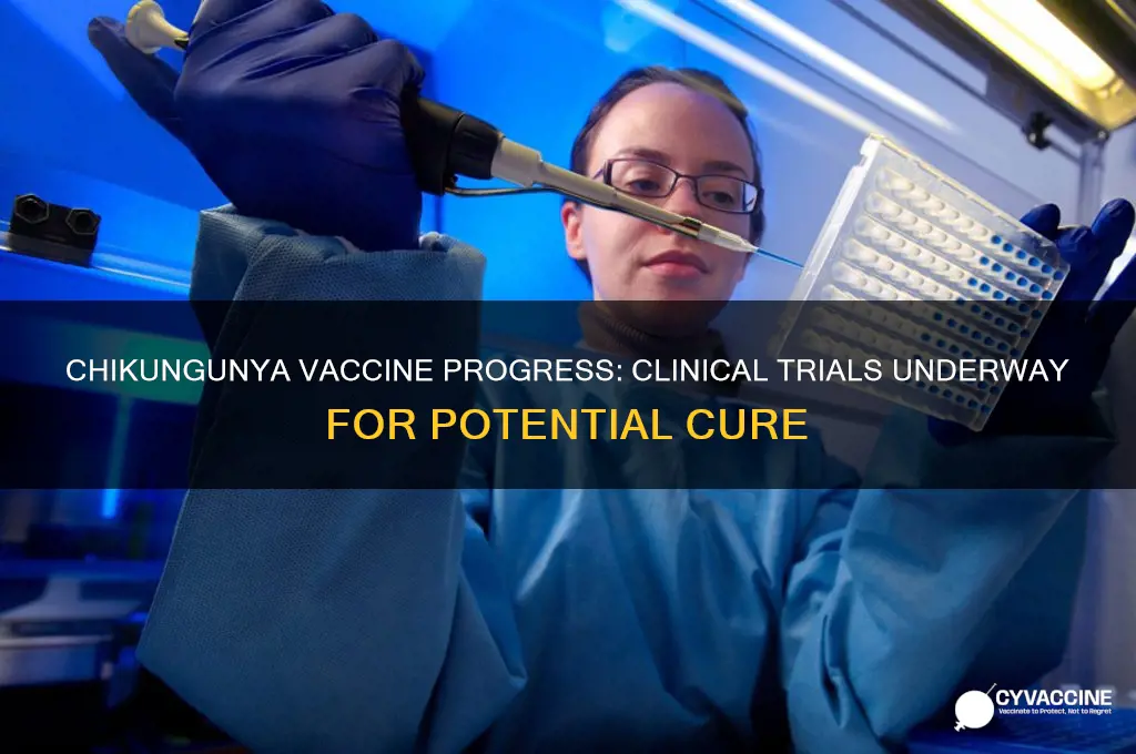 is any chikungunya vaccine in clinical trial phase