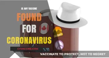 Breakthrough or Bust: The Quest for a Coronavirus Vaccine