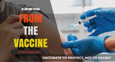 Examining the Safety Record of COVID-19 Vaccines: Facts Over Fears
