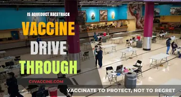 Aqueduct Racetrack Transforms into Vaccine Drive-Through: A Winning Move for Public Health