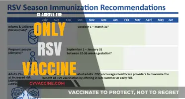 Exploring RSV Vaccine Options: Is Arexvy the Only Choice?