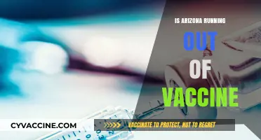 Arizona's Vaccine Supply: Is the State Running Low?