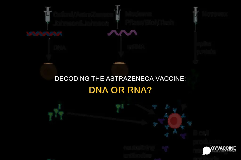 is astrazeneca vaccine dna or rna